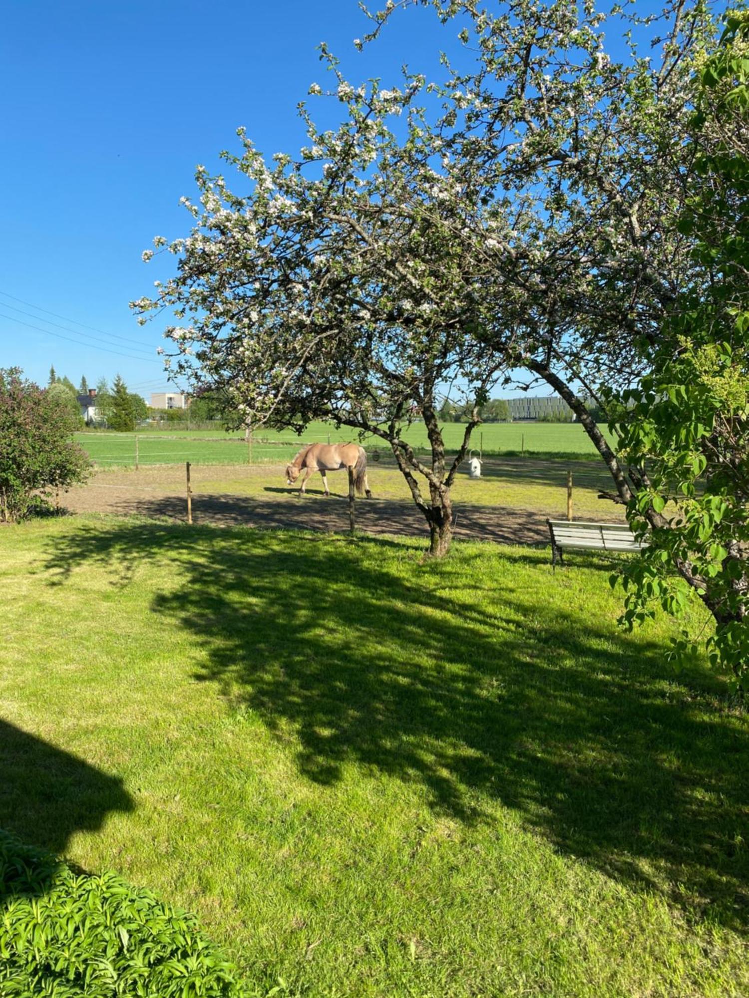 Sundby Fjordhestgard Villa Gardermoen Exterior photo